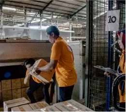 layanan distributor fmcg